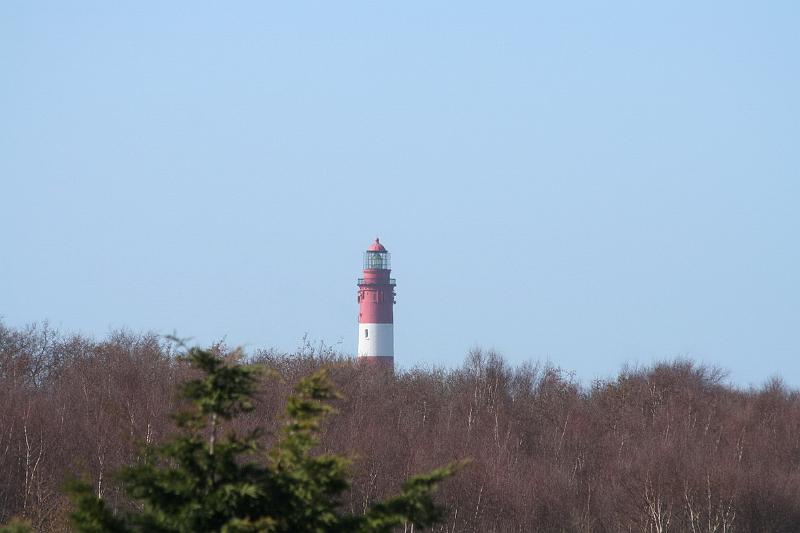 00DJ-2008-005 Bild009.JPG